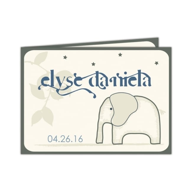 Geboortekaartje Olifantje - leuk olifantje op de voorkant, grappig lettertype voor de babynaam