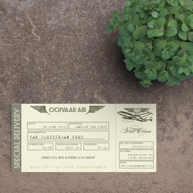 Een heus vliegtuigticket als geboortekaartje! Veel leuke details op geboortekaartje Vintage Vliegtuigticket kunnen gepersonaliseerd worden.