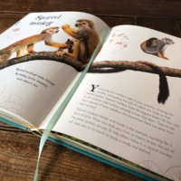 Deze maand bespreken we het prachtig geïllustreerde boek Het Dikke Boek van Alle Bijzondere Dieren. Vol prachtige platen en leuke informatie.