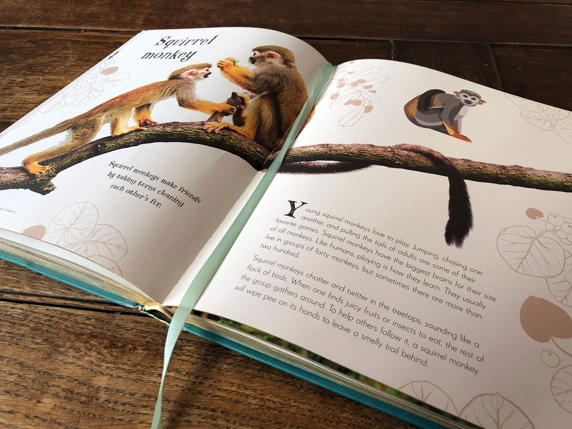 Deze maand bespreken we het prachtig geïllustreerde boek Het Dikke Boek van Alle Bijzondere Dieren. Vol prachtige platen en leuke informatie.